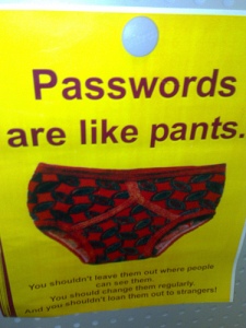 Passwords by like pants by Richard Palmer